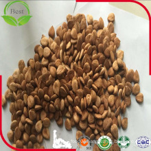 Dried Raw Bitter Apricot Kernel/Hot Selling Bitter Almond